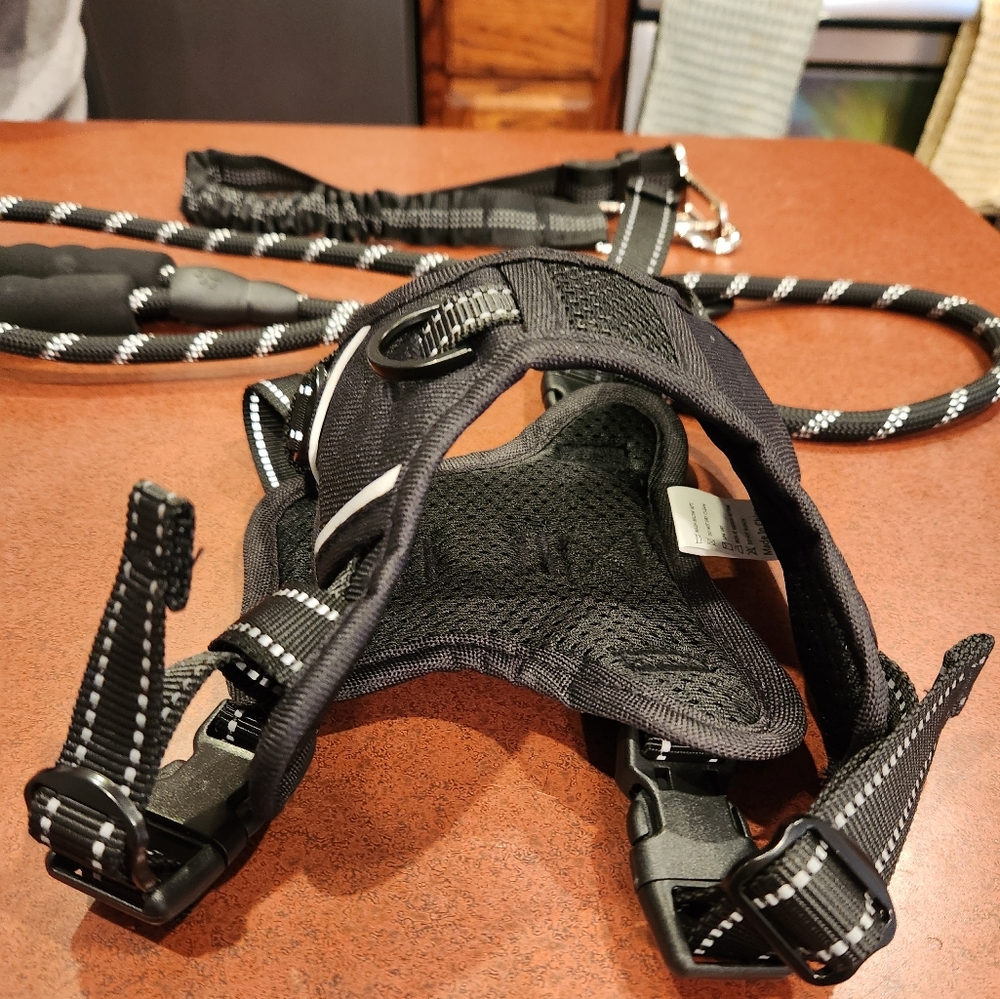 ๐ถ Doggie bundle ๐ถ - Picture 2 of 4